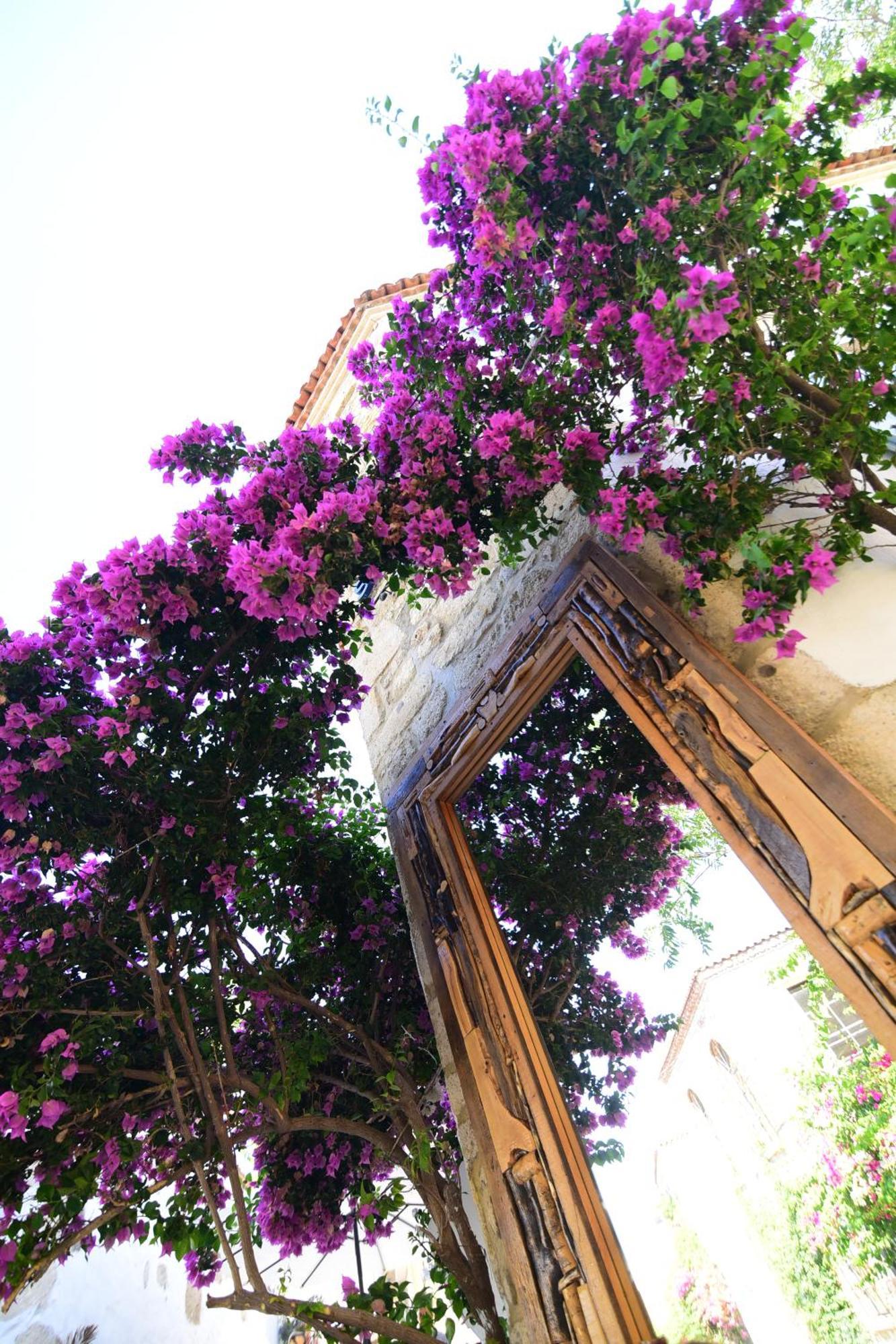 Yukari Sokak Vip Butik Otel Alacati Exterior photo